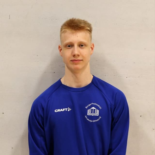 Mynd frá borgarholtsskóla